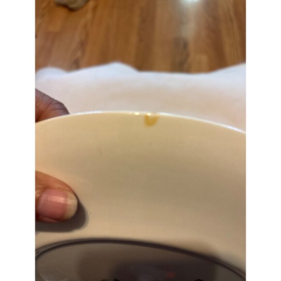 Nebraska Souvenir Plate Green Print State Capitol Vtg 10” Kettlesprings 1564S - Picture 5 of 7